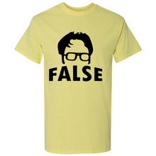 Load image into Gallery viewer, Dwight Schrute False
