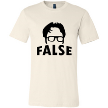 Load image into Gallery viewer, Dwight Schrute False