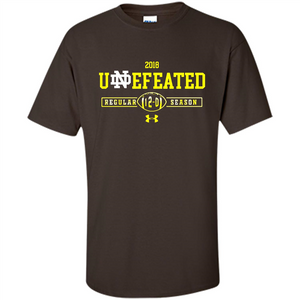 2018 NOTRE DAME FIGHTING IRISH UNDEFEATED REGULAR 12-0 SEASON