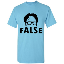 Load image into Gallery viewer, Dwight Schrute False